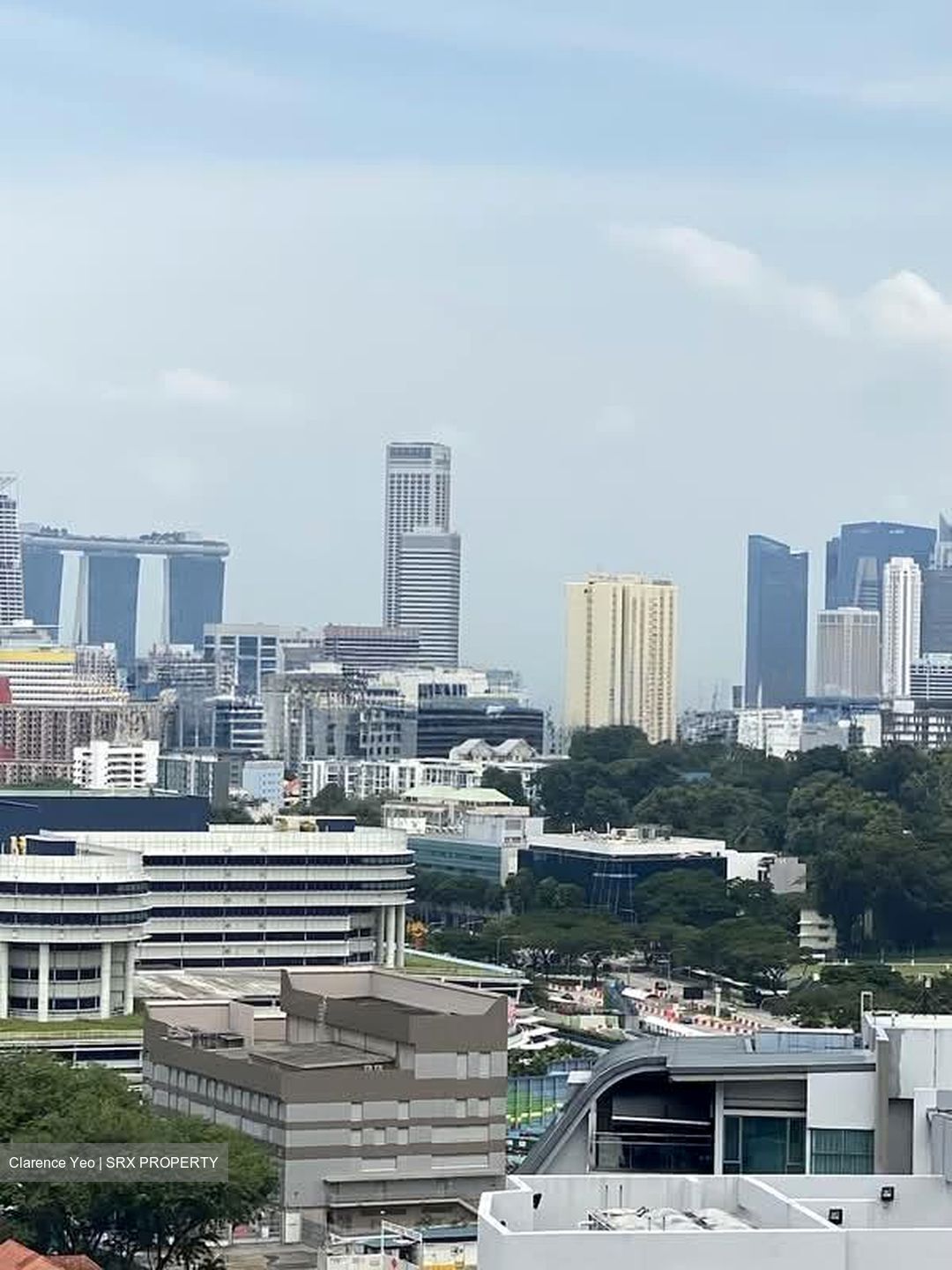 Viva (D11), Condominium #561438801